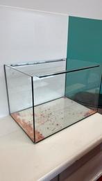 Terrarium te koop, Dieren en Toebehoren, Reptielen en Amfibieën | Toebehoren, Ophalen of Verzenden