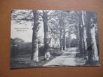 Bergen (NH) (!910), Verzamelen, Ansichtkaarten | Nederland, Verzenden, Voor 1920, Gelopen, Noord-Holland