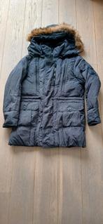 Gaudi Heren Donsjas - Donkerblauw - Maat M, Gaudi, Ophalen of Verzenden, Zo goed als nieuw, Maat 48/50 (M)