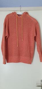 Nieuw oranje trui maat M 100% katoen, Zara, Maat 48/50 (M), Nieuw, Oranje