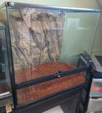 Exo Terra Glas Terrarium 60x45x60, Ophalen, Zo goed als nieuw