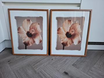 Set van 2 lijsten met poster beschikbaar voor biedingen
