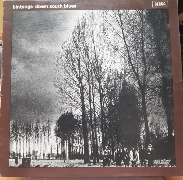 The Bintangs - Travelin' in the USA - Vinyl LP, Cd's en Dvd's, Vinyl | Jazz en Blues, Gebruikt, Blues, 1960 tot 1980, 12 inch
