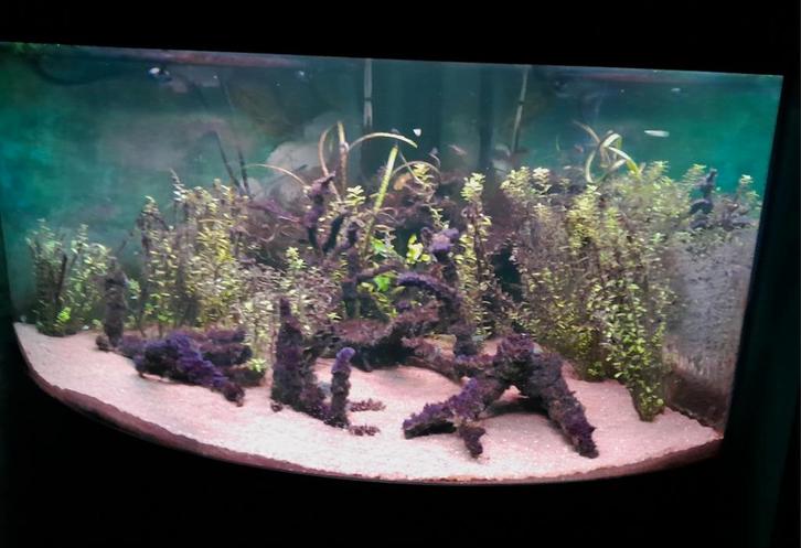 Juwel 350 hoek aquarium, Dieren en Toebehoren, Vissen | Aquaria en Toebehoren, Gebruikt, Leeg aquarium, Ophalen of Verzenden