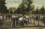 Veemarkt - Leeuwarden. - volk koeien - 1920 gelopen, Verzenden, Voor 1920, Ongelopen, Friesland