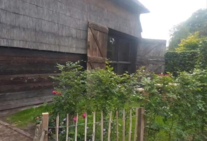 Huisje Drenthe, kerstvakantie beschikbaar., Vakantie, Vakantiehuizen | Nederland, Drenthe, Boerderij of Cottage, Landelijk, In bos