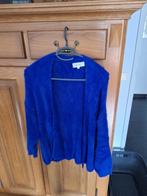 Kobaltblauwe vest : Lola Liza, Kleding | Dames, Blauw, Maat 38/40 (M), Ophalen of Verzenden, Lola Liza