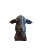 Stenen schapen hoofd bruin, Ophalen, Nieuw