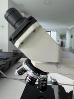 NIKON SE 10X/18 oculairs en revolver met 4X, 10X, 40X en, Ophalen of Verzenden, Zo goed als nieuw, 1000x of meer, Biologische microscoop