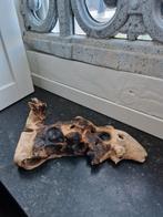 Stuk boomstam drijfhout, Ophalen of Verzenden, Tak, Plant, Rots of Steen