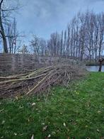 Gratis Wilgentakken - Af te halen, Tuin en Terras, Minder dan 3 m³, Ophalen, Overige houtsoorten, Takken