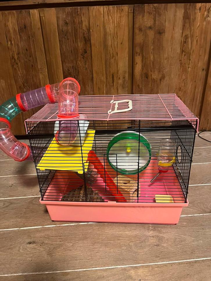 Clompeet hamsterkooi + onderdelen, Dieren en Toebehoren, Knaagdieren en Konijnen | Hokken en Kooien, Zo goed als nieuw, Kooi, Minder dan 60 cm