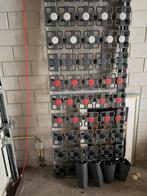 Tempur bedbodem, Ophalen, Zo goed als nieuw