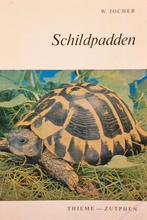 Jocher: Schildpadden (houden), Ophalen of Verzenden, Zo goed als nieuw, Reptielen of Amfibieën