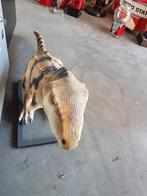 Decoratie beeld Dinosaurus 140 cm, Verzamelen, Beelden en Beeldjes, Ophalen, Zo goed als nieuw, Mens