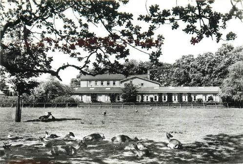 (387-238-039) Ermelo Veldwijk Ziekenhuis, Verzamelen, Ansichtkaarten | Nederland, Gelderland, Verzenden