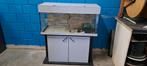 Zoetwater aquarium, Ophalen, Zo goed als nieuw, Leeg aquarium