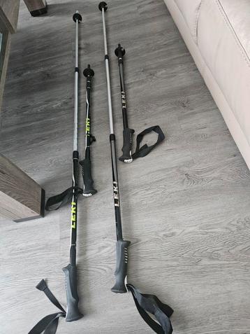 Wandelstokken  beschikbaar voor biedingen