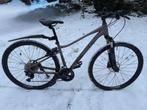 Hybride / allround fiets, Fietsen en Brommers, Fietsen | Mountainbikes en ATB, Ophalen, Gebruikt, Dames, Giant