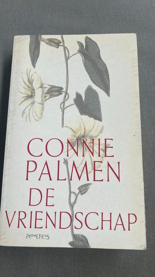 Connie Palmen - De vriendschap, Boeken, Literatuur, Zo goed als nieuw, Nederland, Ophalen of Verzenden