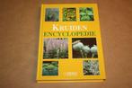 Kruiden encyclopedie - Nico Vermeulen - Rebo Productions, Boeken, Ophalen of Verzenden, Zo goed als nieuw, Moestuin