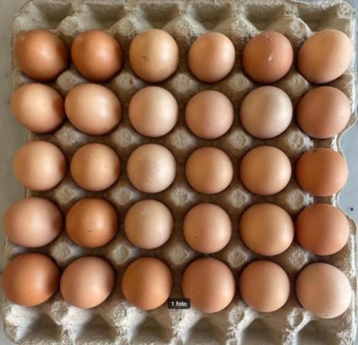 Verse Eieren, Diversen, Levensmiddelen, Ophalen