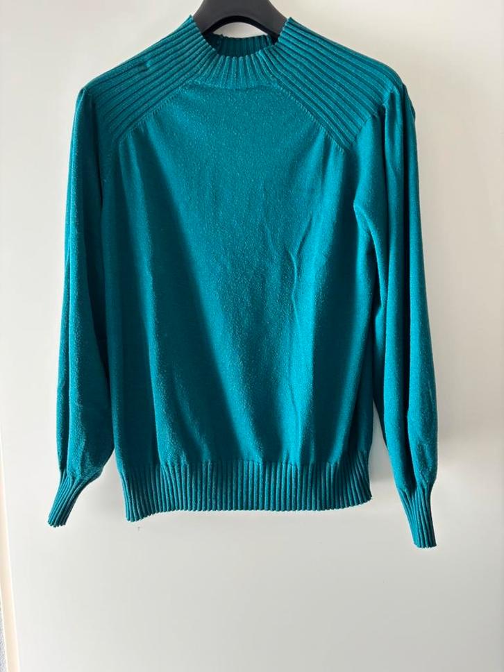 Leuk dun truitje met kraagje maat 44/46, Kleding | Dames, Truien en Vesten, Gedragen, Maat 46/48 (XL) of groter, Blauw, Ophalen of Verzenden