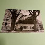 Oude ansichtkaart Marienberg (DDR), Ophalen of Verzenden, 1980 tot heden, Ongelopen, Duitsland