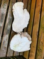 Albast voor beeldhouwen, Boeken, Ophalen, Zo goed als nieuw, Overige onderwerpen