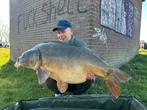 SpicyPeach boilies, Ophalen of Verzenden, Nieuw, Overige typen
