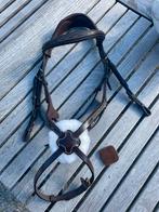 Lemieux Kudos Grackle Bridle, Dieren en Toebehoren, Ophalen of Verzenden, Zo goed als nieuw, Overige soorten