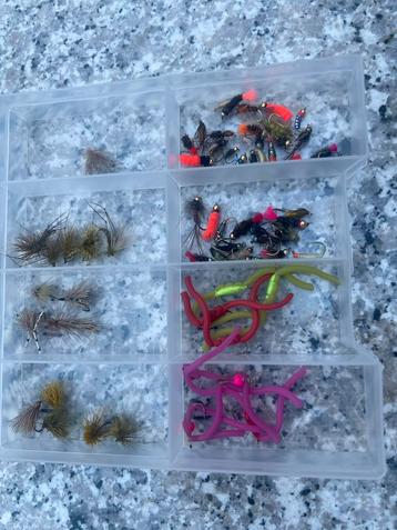 60 vliegen / nimfen / squirmies beschikbaar voor biedingen