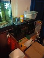 Super Fish aquarium, Dieren en Toebehoren, Ophalen, Zo goed als nieuw, Leeg aquarium