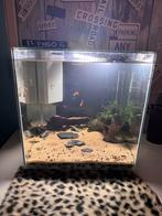 Aquarium, Dieren en Toebehoren, Ophalen, Zo goed als nieuw