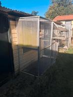 Duiven ren 2m op1m 2m hoogte, Dieren en Toebehoren, Vogels | Duiven