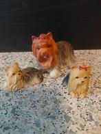 Yorkshire terrier, Ophalen of Verzenden, Zo goed als nieuw, Dier