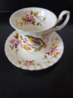 Baltimore oriole. Woodland series, Ophalen of Verzenden, Gebruikt, Porselein, Kop en/of schotel