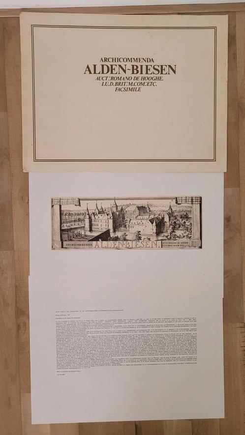 Driedelige prent Zicht vanuit het Zuidoosten op alden biesen, Antiek en Kunst, Kunst | Tekeningen en Foto's, Ophalen of Verzenden