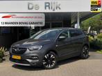 Opel Grandland X 1.6 Turbo Business Executive | Panodak, Car, 1380 kg, 4 cilinders, Leder en Stof, Origineel Nederlands