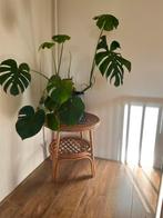 Rotan boho minimalistisch bijzettafeltje, Overige materialen, Minder dan 55 cm, Zo goed als nieuw, Ophalen