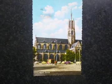 HULST  Basiliek JosPe    D beschikbaar voor biedingen