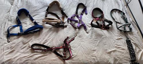 Halsters shet & pony, Dieren en Toebehoren, Paarden en Pony's | Hoofdstellen en Tuigage, Zo goed als nieuw, Overige soorten, Ophalen of Verzenden