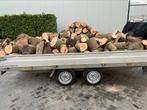 4,8 kuub eiken Essen haardhout thuisbezorgd, 3 tot 6 m³, Verzenden, Eikenhout, Blokken