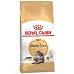 Maine Coon brokjes 13 kg, Dieren en Toebehoren, Dierenvoeding, Ophalen of Verzenden, Kat