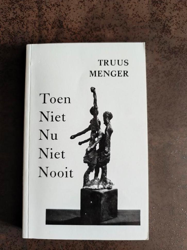 Toen niet, nu niet, nooit - Truus Menger, Boeken, Oorlog en Militair, Zo goed als nieuw, Ophalen of Verzenden