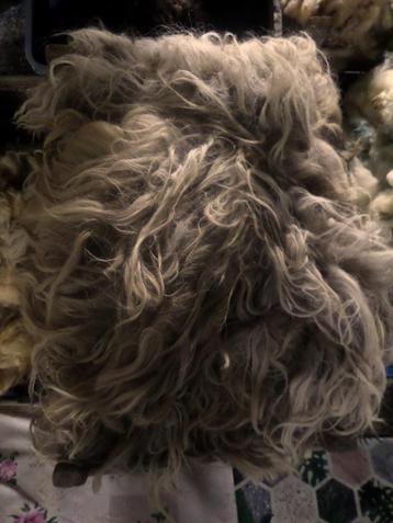  Schapenvachten Wol vilten vachtvilt langharig/Losse krulwol beschikbaar voor biedingen
