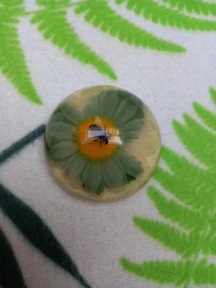 2 oude kunststoffen presse papiers., Antiek en Kunst, Antiek | Kantoor en Zakelijk, Ophalen of Verzenden