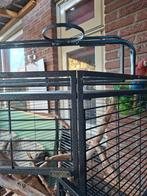 Louisianna  papegaaienkooi, Dieren en Toebehoren, Vogels | Hokken en Kooien, Ophalen, Zo goed als nieuw, Metaal, Vogelkooi