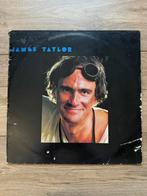 James Taylor - Dad Loves His Work vinyl lp, Ophalen of Verzenden, 12 inch