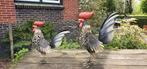 KIP / HAAN / ZILVERKLEUR, Huis en tuin decoratie Marie, Nieuw, Info@huisentuindecoratiemarie.nl, Peize